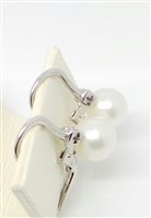 Ohrringe Recarlo Dame in Gold Perla 0.08 Ct XD161/0850 - XD161/0850